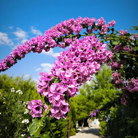 Sunhill Lavender Διαμέρισμα *